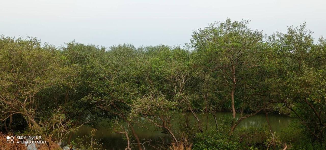 Shruthi'S Aarohi-Nature'S Retreat Mulappilangad Exterior photo
