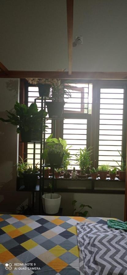 Shruthi'S Aarohi-Nature'S Retreat Mulappilangad Exterior photo