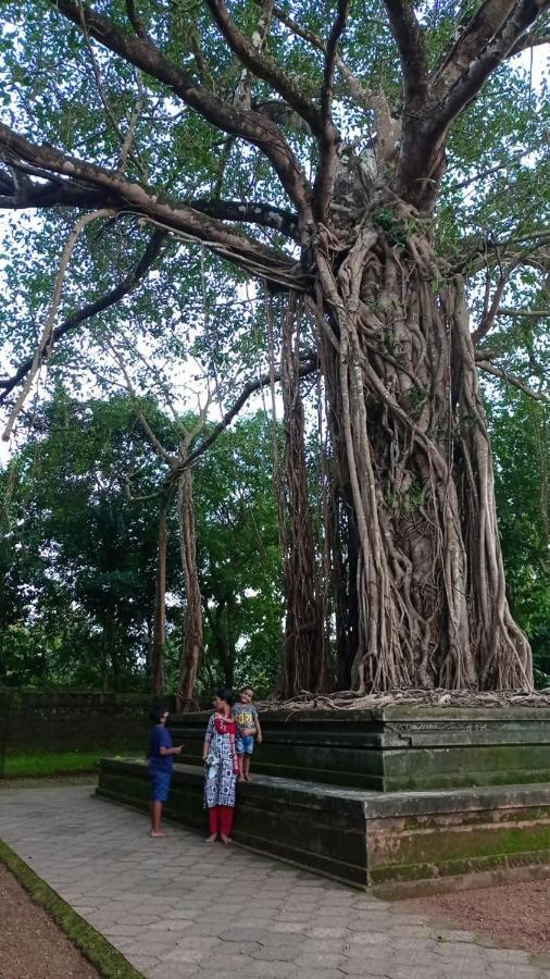 Shruthi'S Aarohi-Nature'S Retreat Mulappilangad Exterior photo
