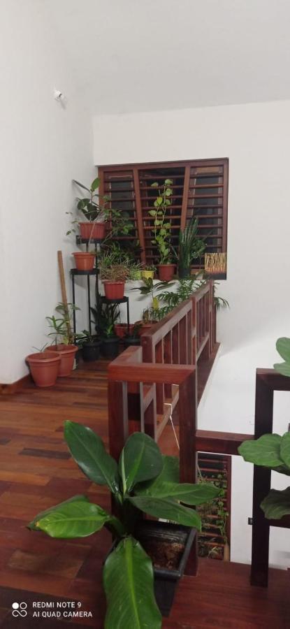 Shruthi'S Aarohi-Nature'S Retreat Mulappilangad Exterior photo
